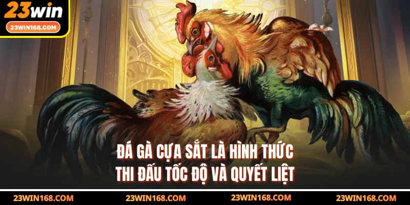 Đá gà cựa sắt là hình thức thi đấu tốc độ và quyết liệt