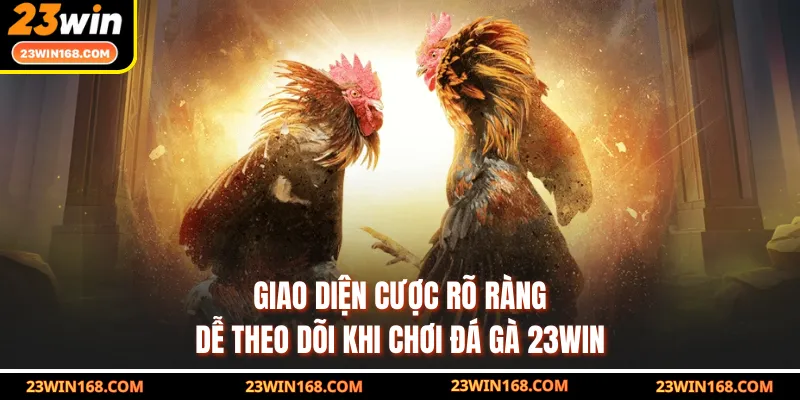 Giao diện cược rõ ràng, dễ theo dõi khi chơi đá gà 23WIN